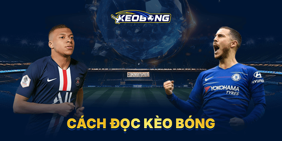 Cách đọc kèo bóng đá cho tân binh dễ hiểu và chuẩn xác nhất