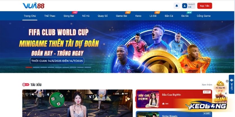 Nhà cái VUA88 có uy tín không?