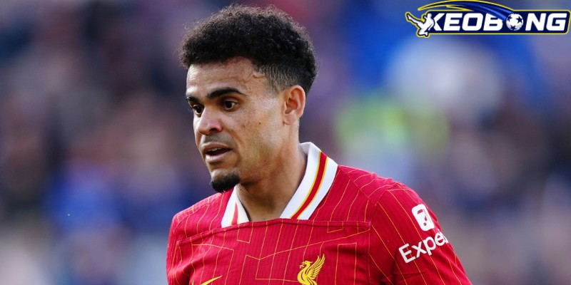 Luis Diaz có nhiều thành tựu đáng chú ý khi chơi tại Liverpool