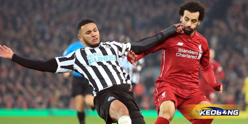 Nhận định tình hình đội khách trước trận Newcastle vs Liverpool ngày 26/08/2025 Nhận định tình hình đội khách trước trận Newcastle vs Liverpool ngày 26/08/2025