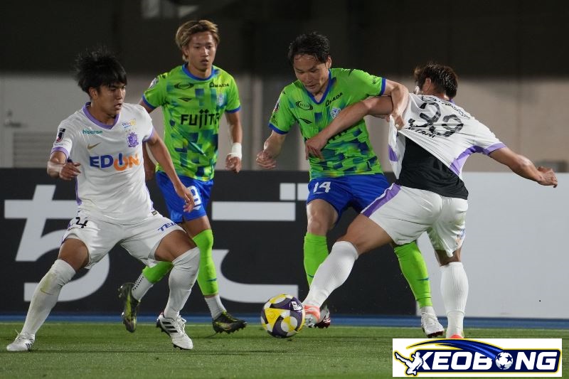 Shonan Bellmare vs Sanfrecce Hiroshima